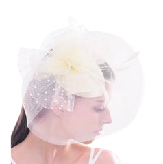 Women Bird Cage Mesh Flower Feather Net Fascinator Hat Bride