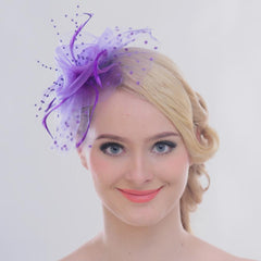 Mesh Face Dot Veil Feather Fascinator Hair Clip