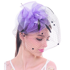 Retro Style Bird Cage Mesh Bridal Face Veil Feather Fascinator Hair Clip Wedding