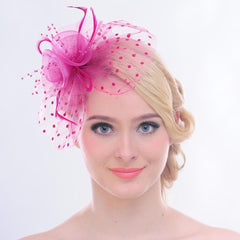 Flower Mesh Bow Feather Wedding Fascinator Dot Veil Hair Clip
