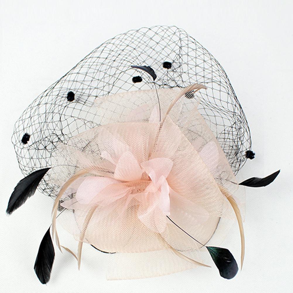 Retro Style Bird Cage Mesh Bridal Face Veil Feather Fascinator Hair Clip Wedding 