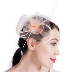 Mesh Net Fascinator Hair Clip Hat Party Wedding
