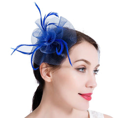 Hair Clip Party Veil Hat Feather Fascinators