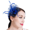 Hair Clip Party Veil Hat Feather Fascinators