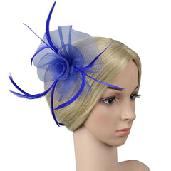 Hair Clip Party Veil Hat Feather Fascinators