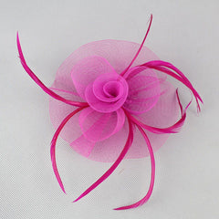Womens Sinamay Fascinator Hat Feather Mesh Derby Hat with Clip