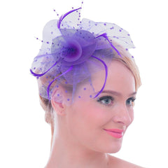 Mesh Face Dot Veil Feather Fascinator Hair Clip